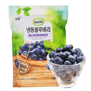 [뉴뜨레] 냉동 블루베리홀 1kg, 3개