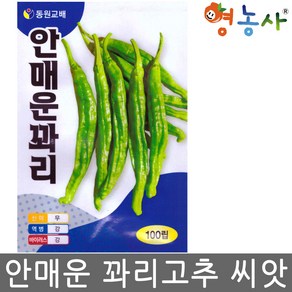 안매운 꽈리고추씨앗 100립, 1개