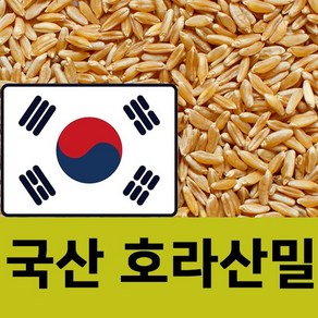 우리농부가 키운 국산 호라산밀 100% 국내산 호라산밀, 1개, 1kg