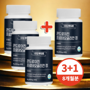 프로테오글리칸 콘드로이친 프리테오글리칸 콘도로이친 600mg