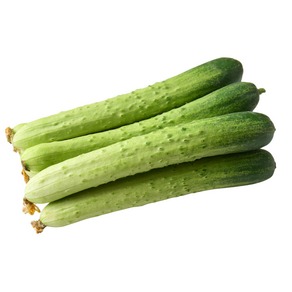 [국내산]산지직송 오이지용 김치용 백다다기오이 백오이, 1개, 1kg