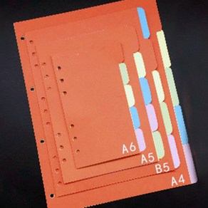 B5 컬러 인덱스 다이어리 속지 가로형
