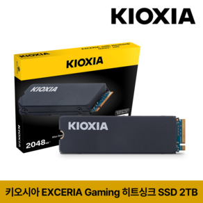 키오시아 EXCERIA 게이밍 히트싱크 Gen4 M.2 NVMe SSD, LSC11K, 2TB