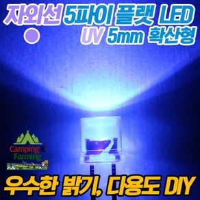 5파이 플랫 확산형LED(UV자외선/DIY용/다용도/교재용), 10개, 1개