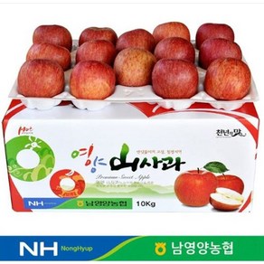 꿀사과 지금제철 경북 안동 부사사과 2kg/4kg, 1박스, 2kg(14과내외)