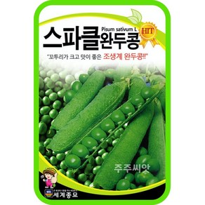 스파클완두콩 40g 완두콩 씨앗 종자 pisum sativum seed, 1개