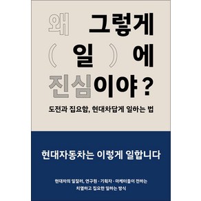 [현대자동차]왜 그렇게 일에 진심이야? : 도전과 집요함 현대차답게 일하는 법, 상품명