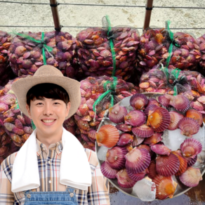 먹사부 통영 활 비단 홍 가리비 찜용 조개구이 국산 왕, A. (단품) 제철가리비(7kg), 1개