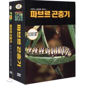 [DVD] 파브르곤충기 13종 박스세트