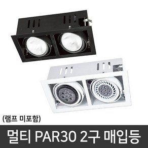 PAR30 멀티등기구 2구 매입등 다운라이트, 화이트, 1개