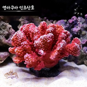 신바람 영아쿠아 인조산호 코랄 YA1712, 1개