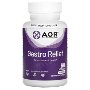 AOR 매스틱검 알긴산 아연 카르노신 생강 Gastro Relief 60 캡슐 약들약 고약사 / 해외직구 미국정품