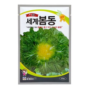 모칸도 세계종묘 쌈채소씨앗 봄동 20g