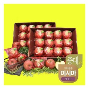 (매장상품) 산지애 햇사과 미시마 6kg (3kg*2박스) 1340097