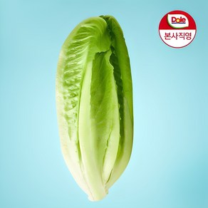 [돌] [Dole 본사직영] 알뜰형 로메인 1kg