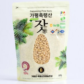 가평군농협 유기농 국산 가평잣 2024년 햇잣 황잣 백잣 봉지 지퍼 500g, 1개