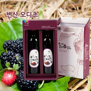 내츄럴팜 영농조합법인 변산 오디 발효식초 500ml, 1개