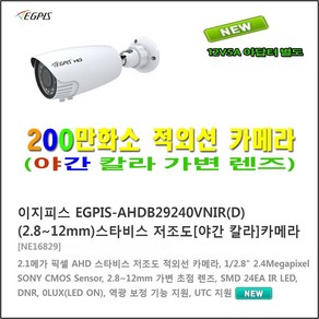 다후아 야간칼라(SD49212IN) PTZ 카메라 야간최대100미터, 1개