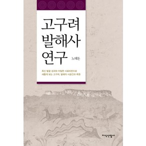 고구려 발해사 연구:최신 발굴 성과와 치밀한 사료비판으로 새롭게 보는 고구려 발해의 시공간, 지식산업사, 노태돈