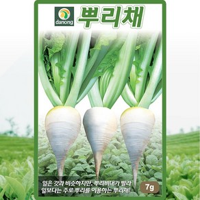 다농 뿌리채 씨앗 7g, 1개