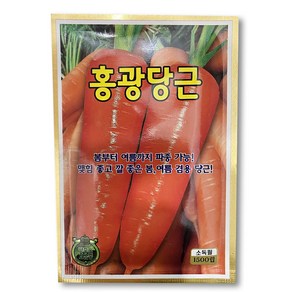 배추씨앗 무씨앗 돌산갓 청갓 적갓 당근 상추 텃밭 씨앗 모음집 김장배추 김장무 채소 야채씨앗, 1개