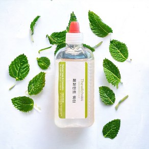 [더위치] 페퍼민트워터 100ml 페퍼민트잎수 Mentha Pipeita Peppemint Leaf Wate, 1개