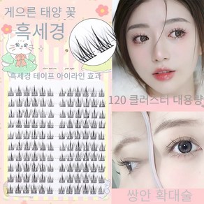 CHENGSI 속눈썹 속눈썹 스티커 내추럴 속눈썹 연장 10+11+12mm 10줄 120개의 대용량 블랙 라인, 5개