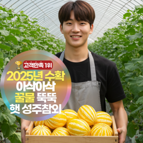 삼시세끼연구소 햇 성주참외 가정용 당도보장, 1개, 2kg