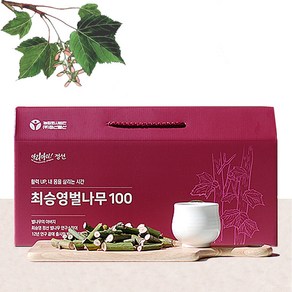 강원도 토종 벌나무즙 100 벌나무 엑기스 진액 효능 최승영 100ml 정선 송약초, 30개