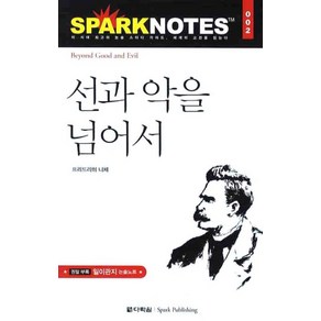 선과 악을 넘어서, 다락원, 논술/작문