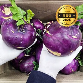 [경자상회] 당일경매 최상품 제주 콜라비 1박스 3kg 5kg 10kg 15kg