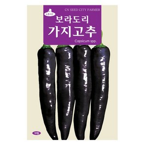 가지고추 씨앗 가지고추씨 10립, 1개