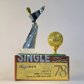 [어워드은은] 골프트로피 싱글트로피 골프싱글패 골프이글패 이글패 홀인원트로피 홀인원패 MS553, 1개, 실버투톤