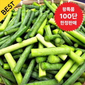 [한정수량] 제철밥도둑 국내산 남해 마늘쫑, 1개, 500g