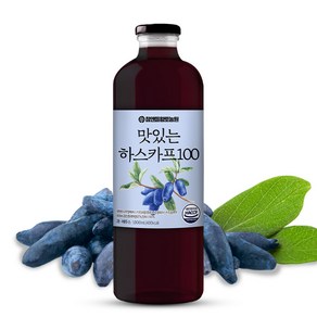 데이앤 맛있는 하스카프 주스 1L