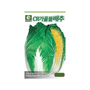 (DN) CR가을뜰배추 씨앗(300립), 1개