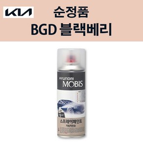 기아 순정품 BGD 블랙베리 스프레이 229 자동차 차량용 도색 카페인트