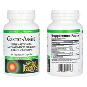 내추럴팩터스 Gastro-Assist 매스틱 검 60베지캡슐