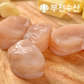 부전수산 냉동 신선한 키조개관자 (개아지살) 1박스 업소용 10kg (1kg x 10팩) 관자 관자구이 관자삼합 관자버터구이 관자찜, 1개, 1kg (21~25개) x 10개 1박스