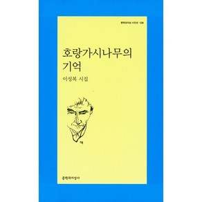 호랑가시나무의 기억