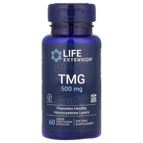 라이프익스텐션 트리메틸글리신 TMG 1000mg 60캡슐 무수 베타인 바이타민 비타민B14, 1개, 60정