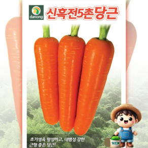 다농 신흑전5촌 8g 여름 가을 건강 채소 당근 씨앗 종자 다농, 1개