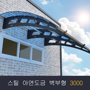 비막이 스틸 아연도금 렉산 벽부형 3000x1000 발명특허 명품 비막이 코리아 테라스창문 어닝 차양막 비가림 렉산시공(브라켓트 2개 포함된 상품)(시공 별도), 블랙 와 그린, 1000, 세트앙카M12/100