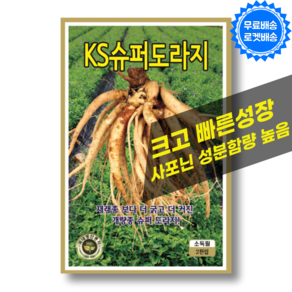 슈퍼 도라지씨앗 (2000립) 국내채종 빠른수확 개량 도라지 씨 종자, 1개