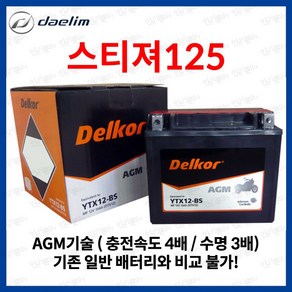 대림 스티져 125 AGM 배터리 YTX12 DTX12 10Ah, 1개