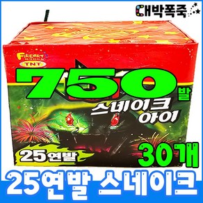 [불꽃놀이 폭죽세트] 25연발 스네이크, 30개