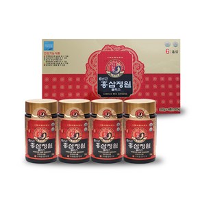 6년근 홍삼정원 플러스 250g 4병 8병 12병 홍삼진액 선물세트, 4개