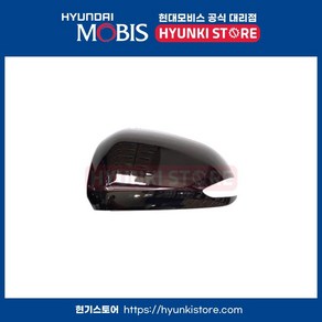 사이드미러 커버 좌측 (87616B8000RB5), 1개