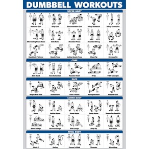 노 브랜드 덤벨 운동 Eecise 포스터 적층 프리 웨이트 바디 빌딩 가이드 홈 체육관 차트 더블 시드 0405pm, no fame