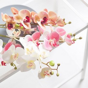 블리스호접란가지 68cm (3컬러) 조화 인테리어 꽃 장식, 퍼플그린